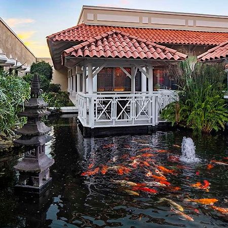 Hyatt Regency Grand Reserve Pr Río Grande Extérieur photo