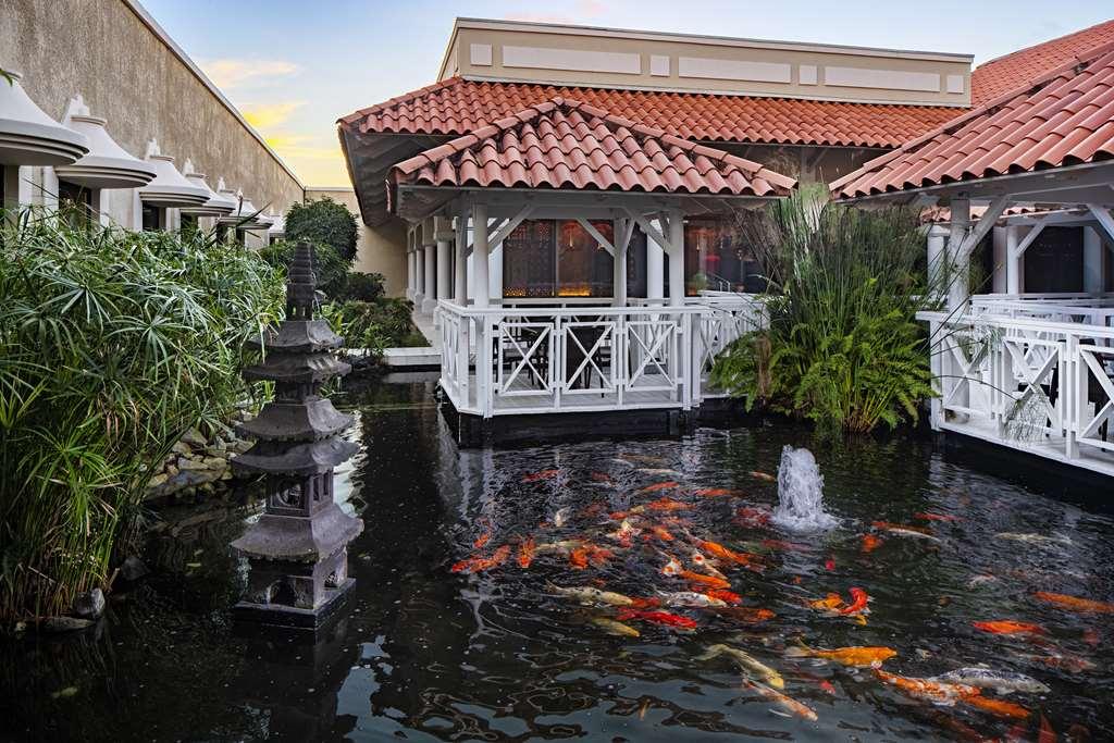 Hyatt Regency Grand Reserve Pr Río Grande Extérieur photo